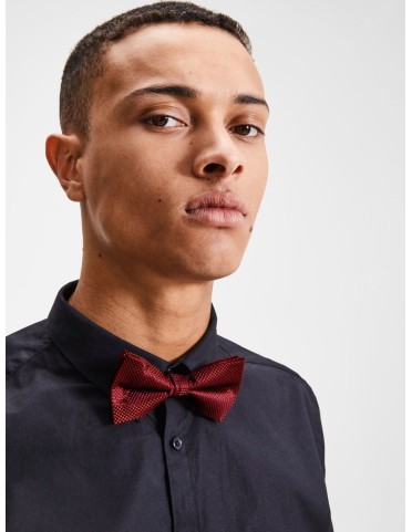 JACCOLOMBIA BOWTIE 2