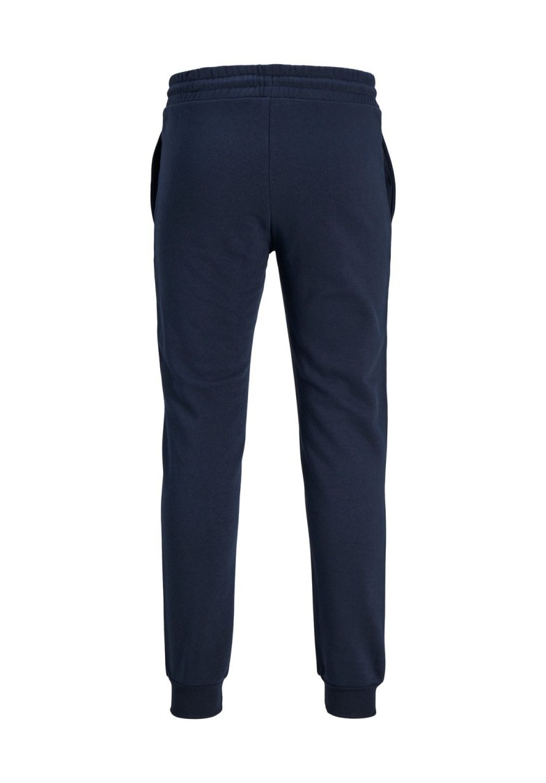 JPSTGORDON JJWARRIOR SWEAT PANT