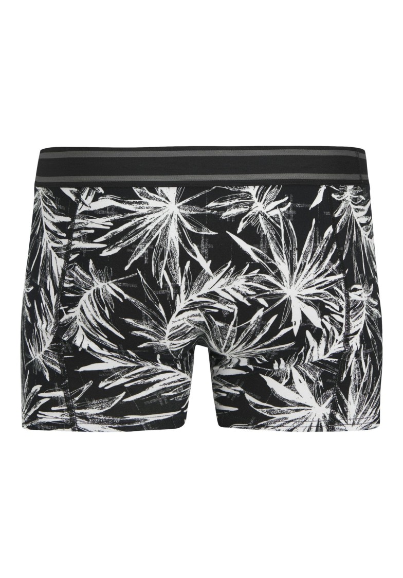JACRICHARD TRUNKS 3 PACK