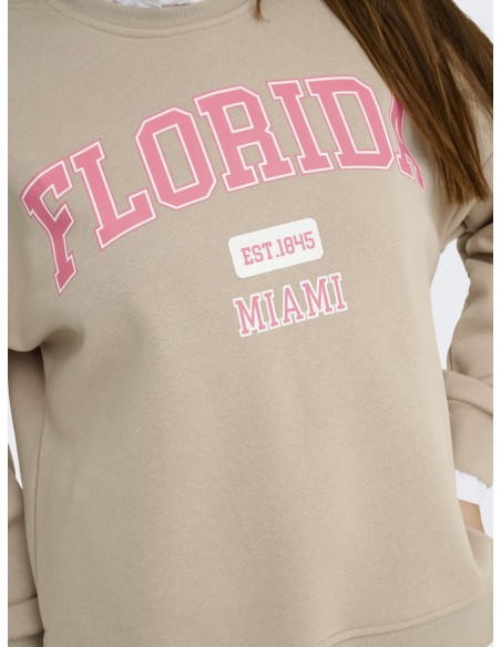 ONLVICTORY L/S O-NECK SWEAT