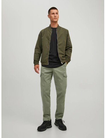 JPSTOLLIE JJBOWIE CARGO PANT 2
