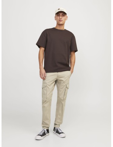 JPSTPAUL JJFLAKE CARGO PANTS 2