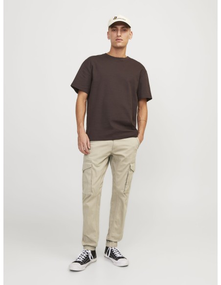 JPSTPAUL JJFLAKE CARGO PANTS