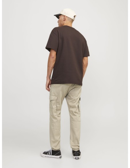 JPSTPAUL JJFLAKE CARGO PANTS