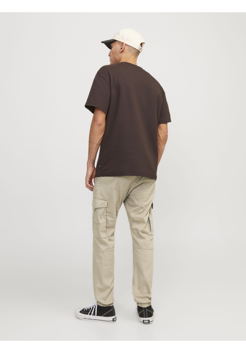 JPSTPAUL JJFLAKE CARGO PANTS