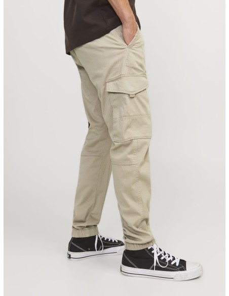 JPSTPAUL JJFLAKE CARGO PANTS