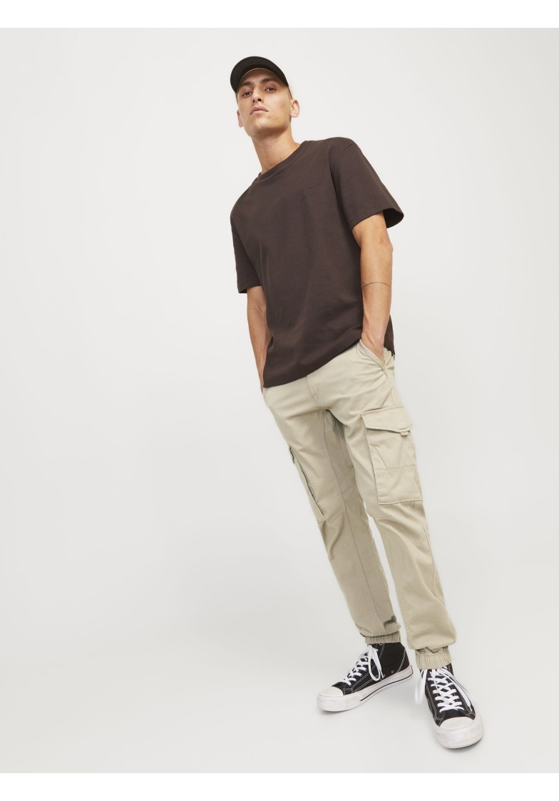 JPSTPAUL JJFLAKE CARGO PANTS