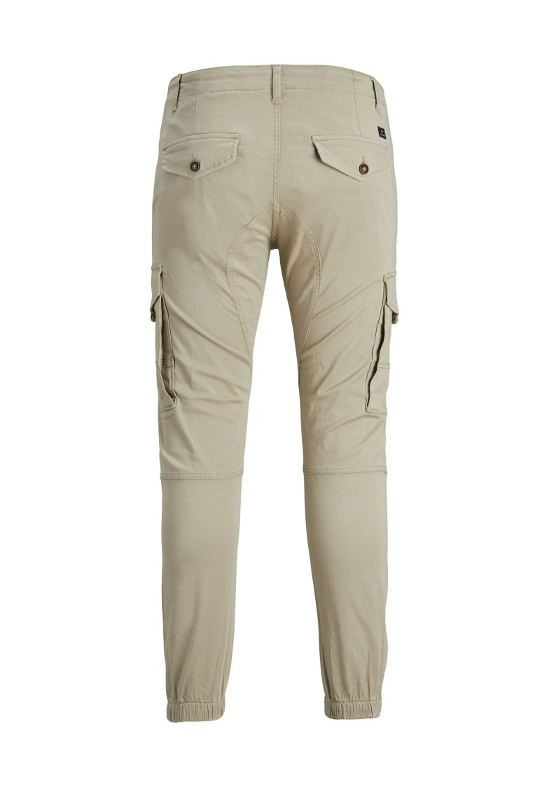 JPSTPAUL JJFLAKE CARGO PANTS
