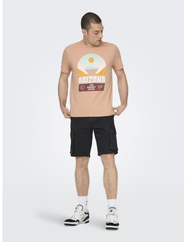 ONSMACALLAN DESERT S/S TEE 2