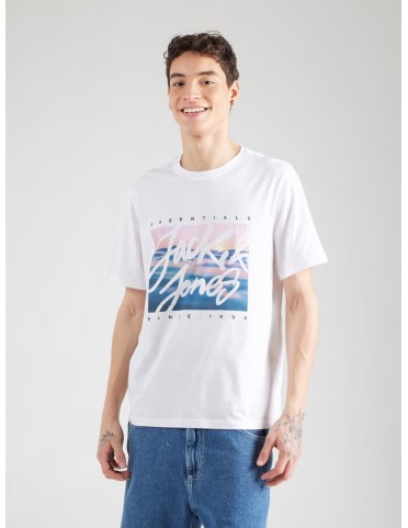 JJCOLTON PHOTEERINT TEE S/S O-NECK