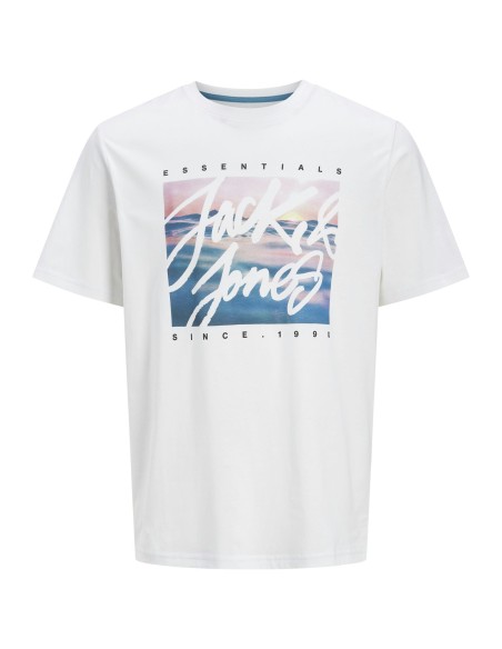 JJCOLTON PHOTEERINT TEE S/S O-NECK