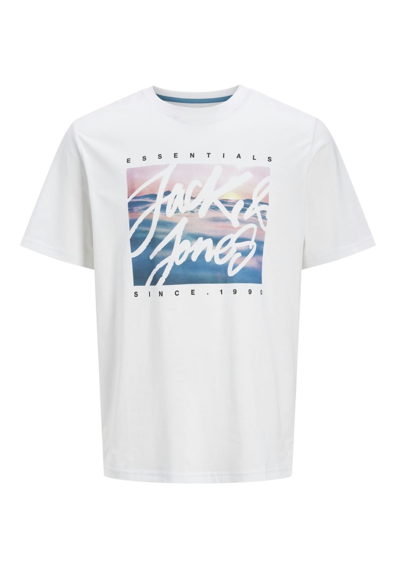 JJCOLTON PHOTEERINT TEE S/S O-NECK