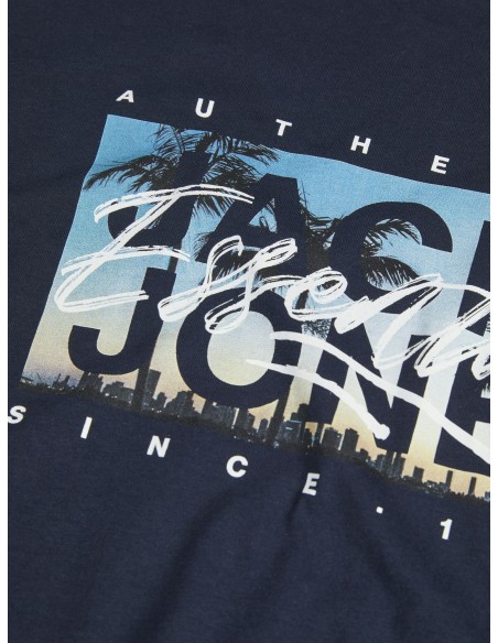 JJCOLTON PHOTEERINT TEE S/S O-NECK