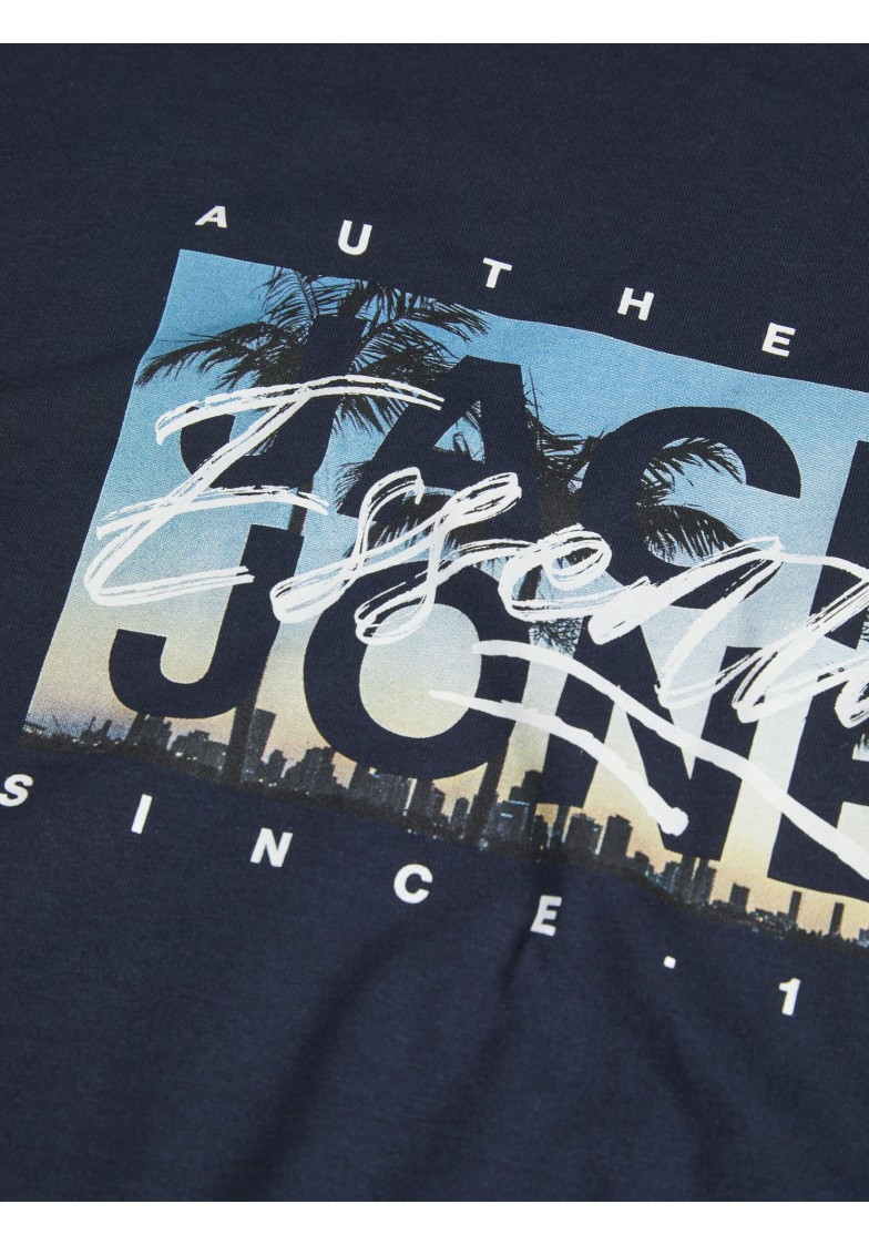 JJCOLTON PHOTEERINT TEE S/S O-NECK