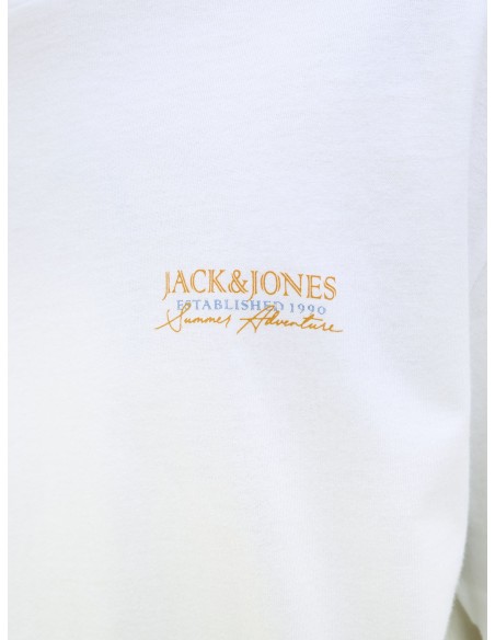 JJSUMMER VIBES TEE S/S O-NECK