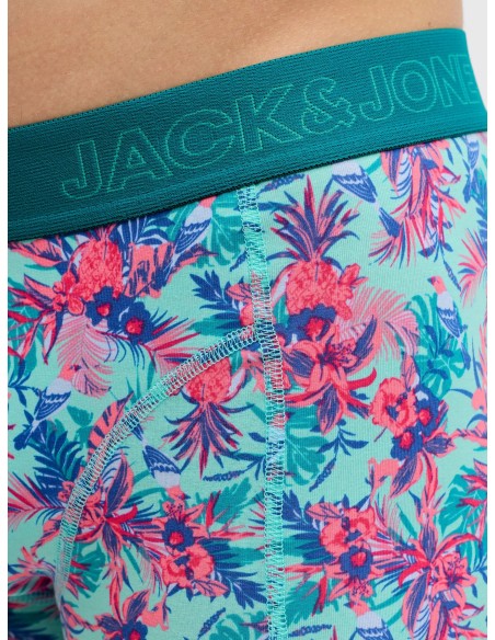 JACEXOTIC LEAVES TRUNKS 3 PACK