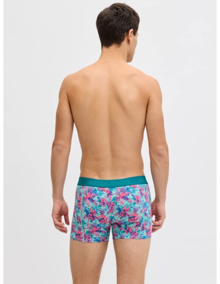 JACEXOTIC LEAVES TRUNKS 3 PACK