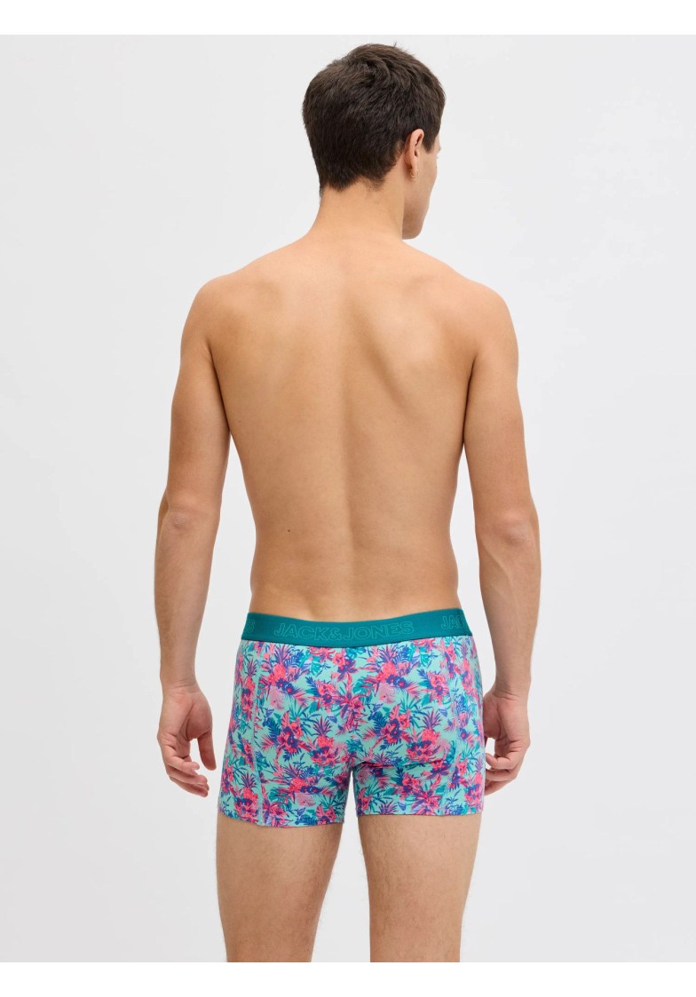 JACEXOTIC LEAVES TRUNKS 3 PACK