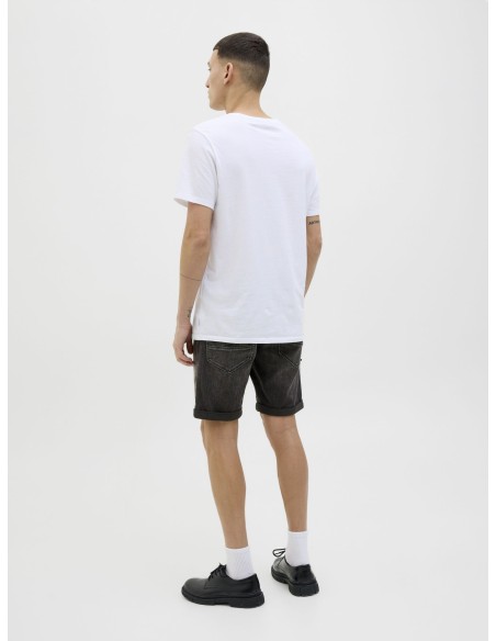 JJIRICK JJFOX SHORTS CB 310